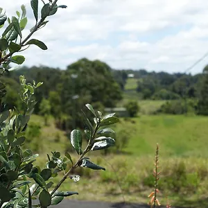 Winston Palmwoods